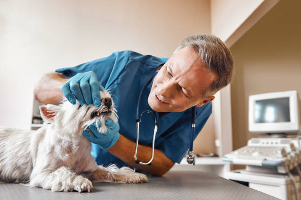 Best Broken Tooth Emergency  in Trotwood, OH