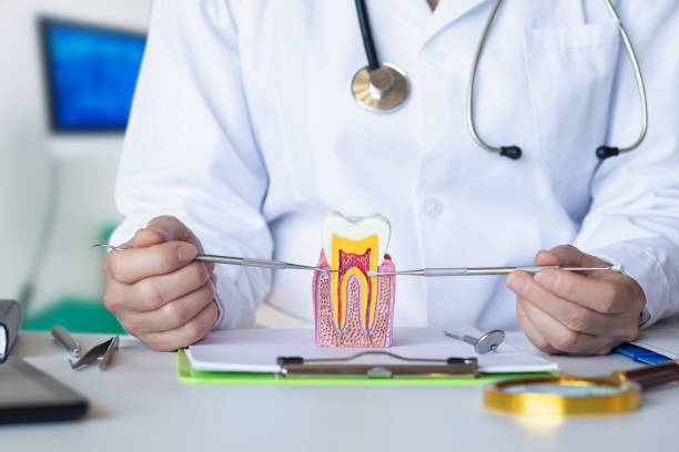 Best Knocked-Out Tooth Emergency  in Trotwood, OH